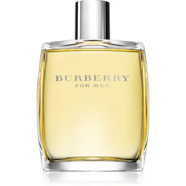 Burberry Burberry Burberry for Men тоалетна вода за мъже 100 мл.