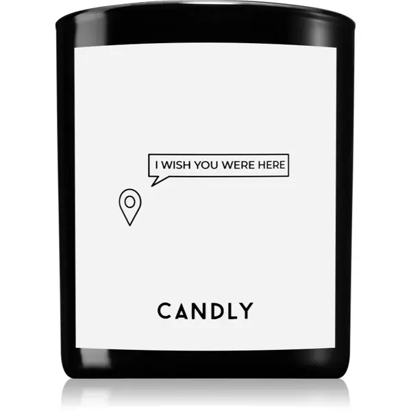 Candly & Co. Candly & Co. I wish you were here ароматна свещ 250 гр.
