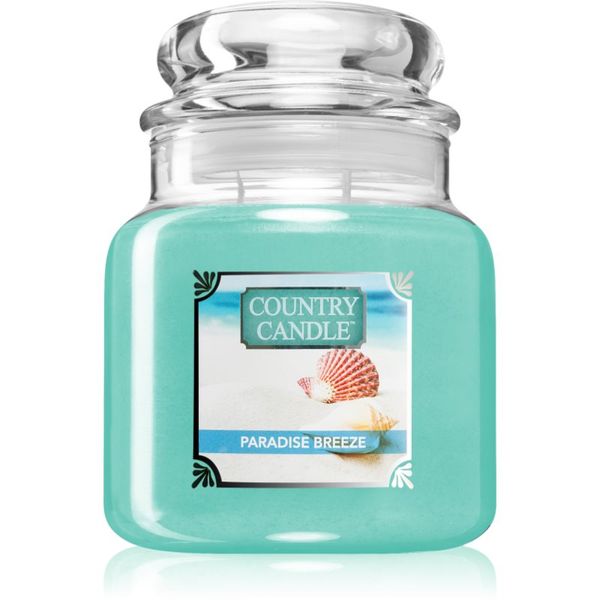 Country Candle Country Candle Paradise Breeze ароматна свещ 453 гр.