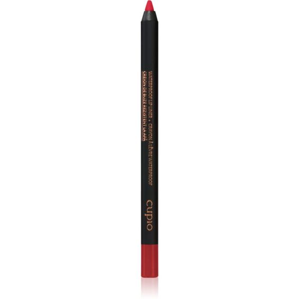 Cupio Cupio Waterproof Lip Liner молив-контур за устни цвят True Red 1,2 гр.