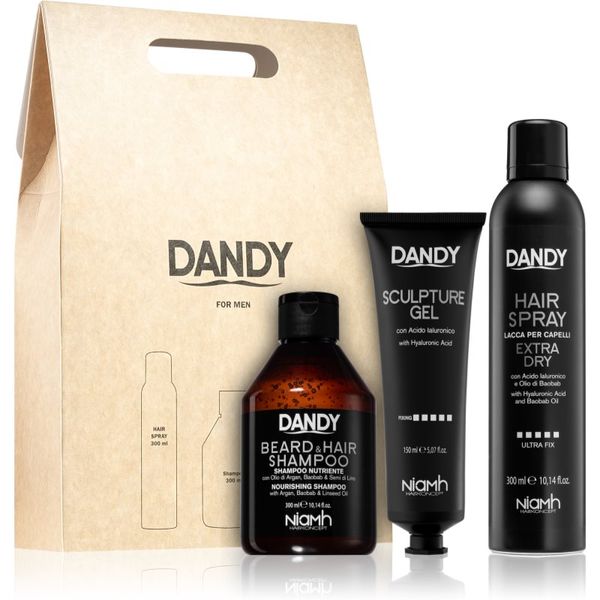 DANDY DANDY Styling gift set подаръчен комплект за мъже