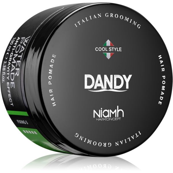 DANDY DANDY Water Pomade Anti-Gravity Effect брилянтин за коса със силна фиксация 100 мл.