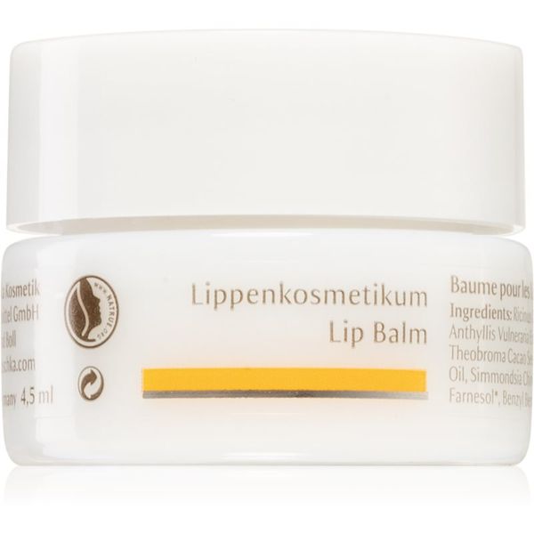 Dr. Hauschka Dr. Hauschka Eye And Lip Care балсам за устни с подхранващ ефект 4,5 мл.