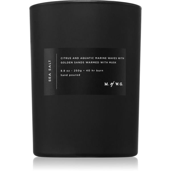 DW Home DW Home M. of W.G. Sea Salt ароматна свещ 250 гр.