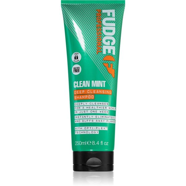 Fudge Fudge Clean Mint Shampoo шампоан за мазна коса 250 мл.