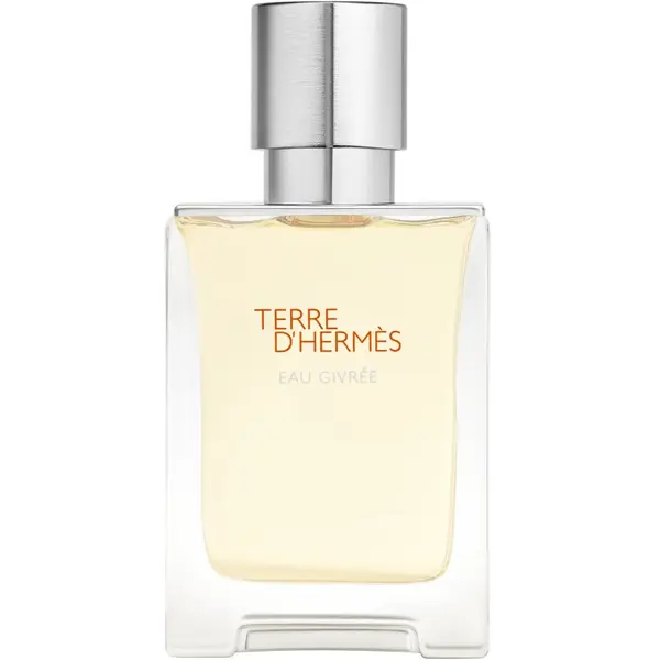 HERMÈS HERMÈS Terre d’Hermès Eau Givrée парфюмна вода сменяема за мъже 50 мл.