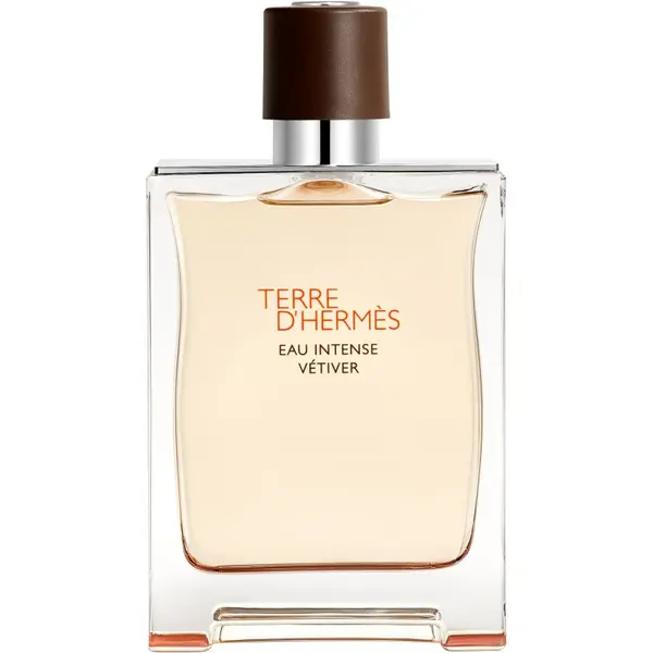 Hermès HERMÈS Terre d’Hermès Eau Intense Vétiver парфюмна вода за мъже 200 мл.