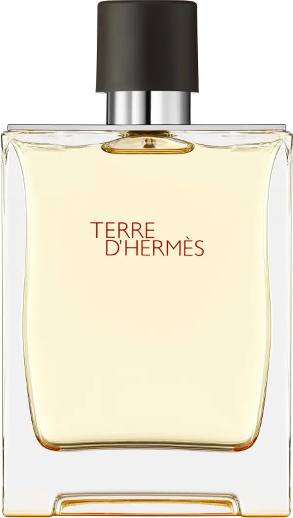 Hermès HERMÈS Terre d’Hermès тоалетна вода за мъже 200 мл.