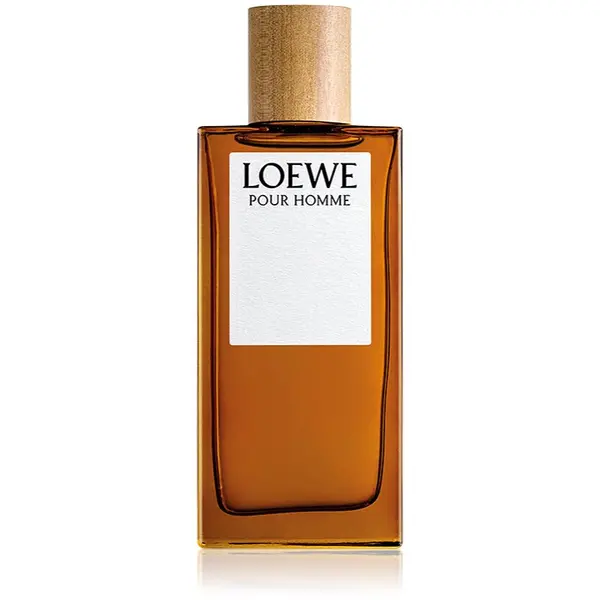 Loewe Loewe Loewe Pour Homme тоалетна вода за мъже 100 мл.
