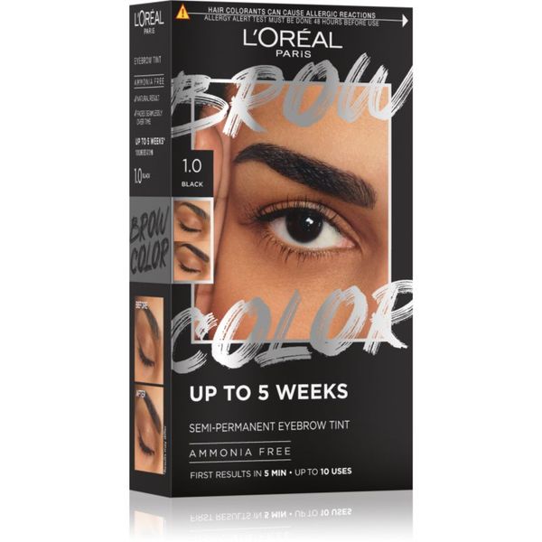 L’Oréal Paris L’Oréal Paris Brow Color цвят за вежди цвят 1.0 Black 1 бр.