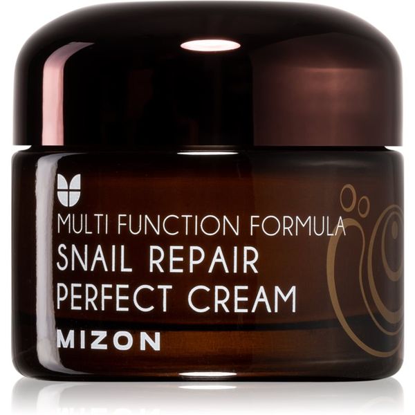 Mizon Mizon Multi Function Formula  Snail крем за лице  с филтрат на охлювен секрет 60% 50 мл.