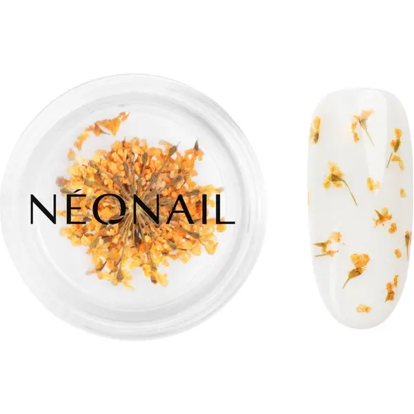 NeoNail NEONAIL Dried Flowers сушен цвят за нокти цвят Orange 1 бр.