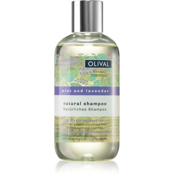 Olival Olival Natural Mint and Lavender натурален шампоан за суха и увредена коса 250 мл.