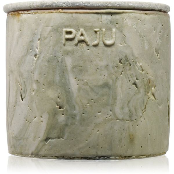 PAJU PAJU Julian Green ароматна свещ Papi 13 cm 1 бр.