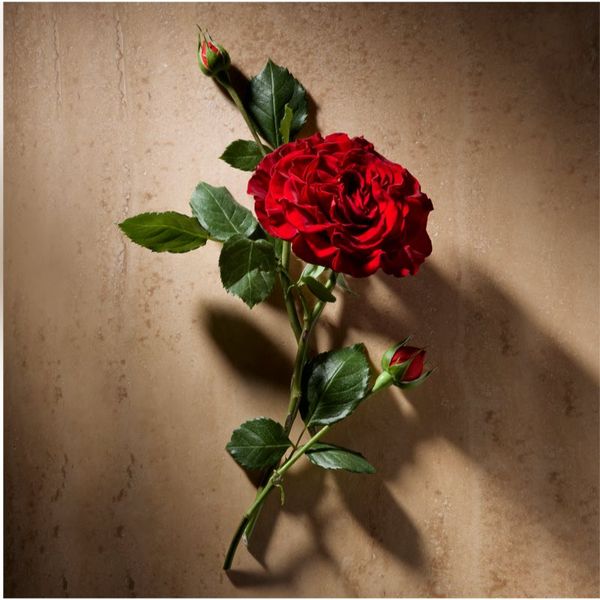 Ralph Lauren Ralph Lauren Polo Oud парфюмна вода за мъже 125 мл.