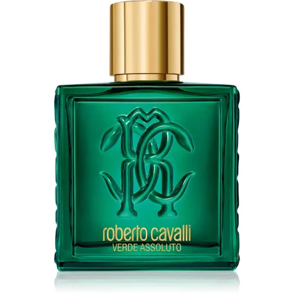 Roberto Cavalli Roberto Cavalli Uomo Verde Assoluto парфюмна вода за мъже 100 мл.