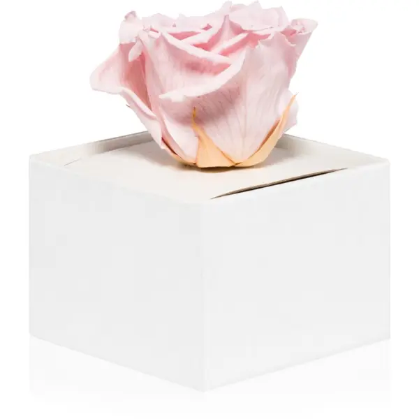 RoseAmor RoseAmor Pink стабилизирана роза в кутия 1 бр.
