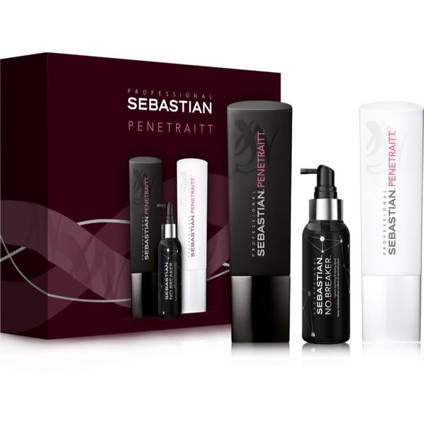 Sebastian Professional Sebastian Professional Penetraitt подаръчен комплект (за увредена и химически третирана коса)