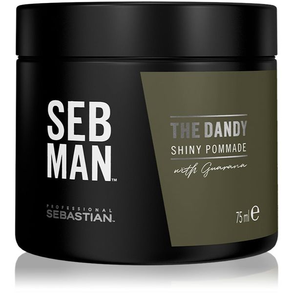 Sebastian Professional Sebastian Professional SEB MAN The Dandy помада за коса за естествена фиксация 75 мл.