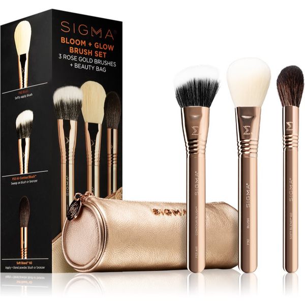 Sigma Beauty Sigma Beauty Brush Set Bloom + Glow комплкет четки с калъф