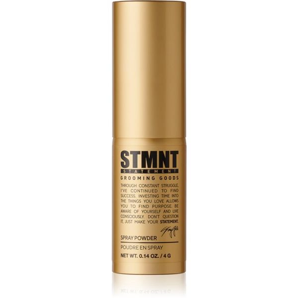 STMNT STMNT Staygold Spray Powder спрей-пудра за фиксиране и оформяне 4 гр.