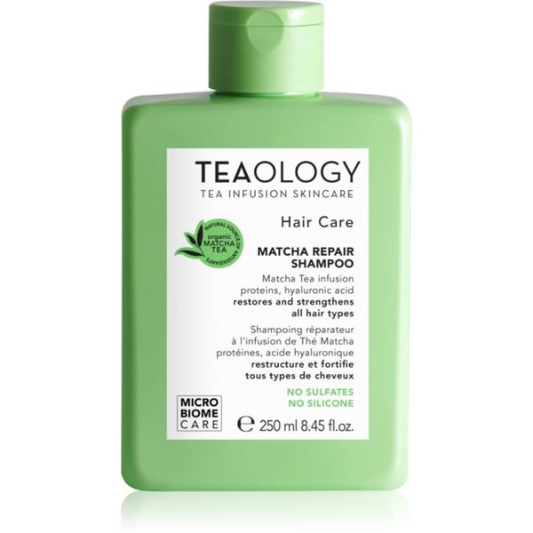 Teaology Teaology Hair Matcha Repair Shampoo шампоан за укрепване на косата 250 мл.