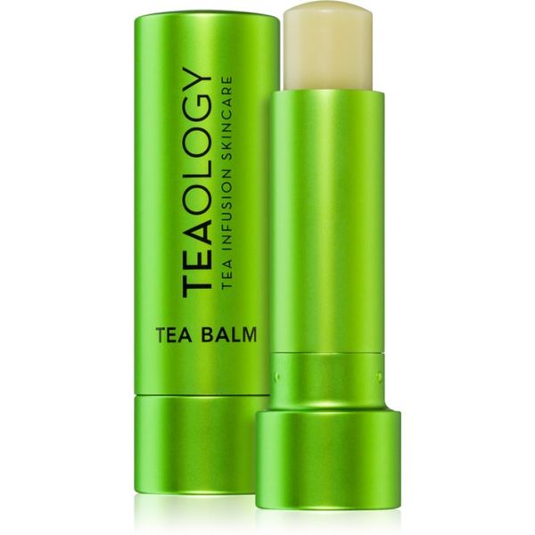 Teaology Teaology Tea Balm хидратиращ балсам за устни в тубичка цвят Matcha Tea 4 гр.