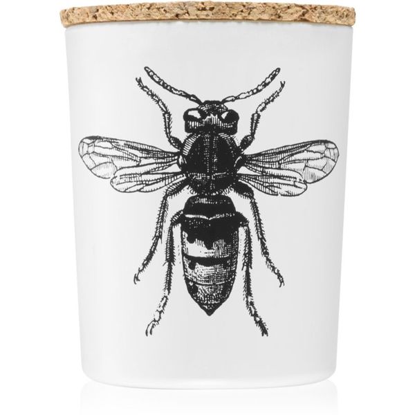 Vila Hermanos Vila Hermanos Insect Calabrone ароматна свещ 75 гр.