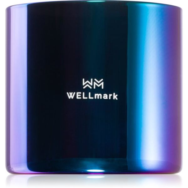 Wellmark Wellmark Better Silk ароматна свещ 1 бр.