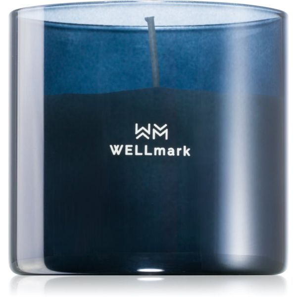 Wellmark Wellmark Brave Night ароматна свещ 1 бр.