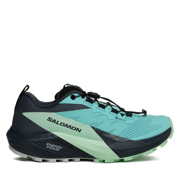 Salomon Маратонки за бягане Salomon Sense Ride 5 Gore-Tex L47216000 Син