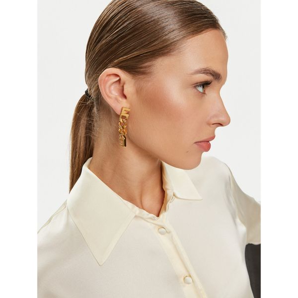 Elisabetta Franchi Обици Elisabetta Franchi OR-13K-46E2-V210 Златист