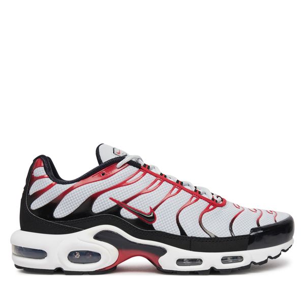 Nike Сникърси Nike Air Max Plus FN6949 002 Сив