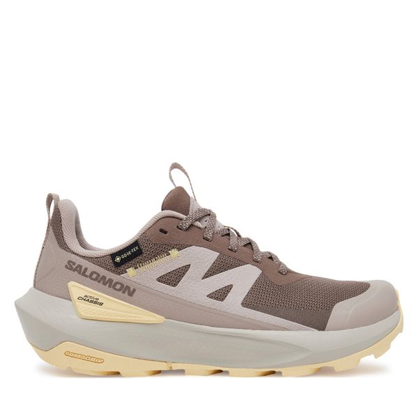 Salomon Туристически Salomon Elixir Activ Gore-Tex L47760100 Кафяв
