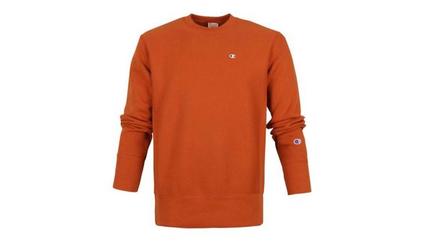 Champion Champion Crewneck Sweatshirt Brown