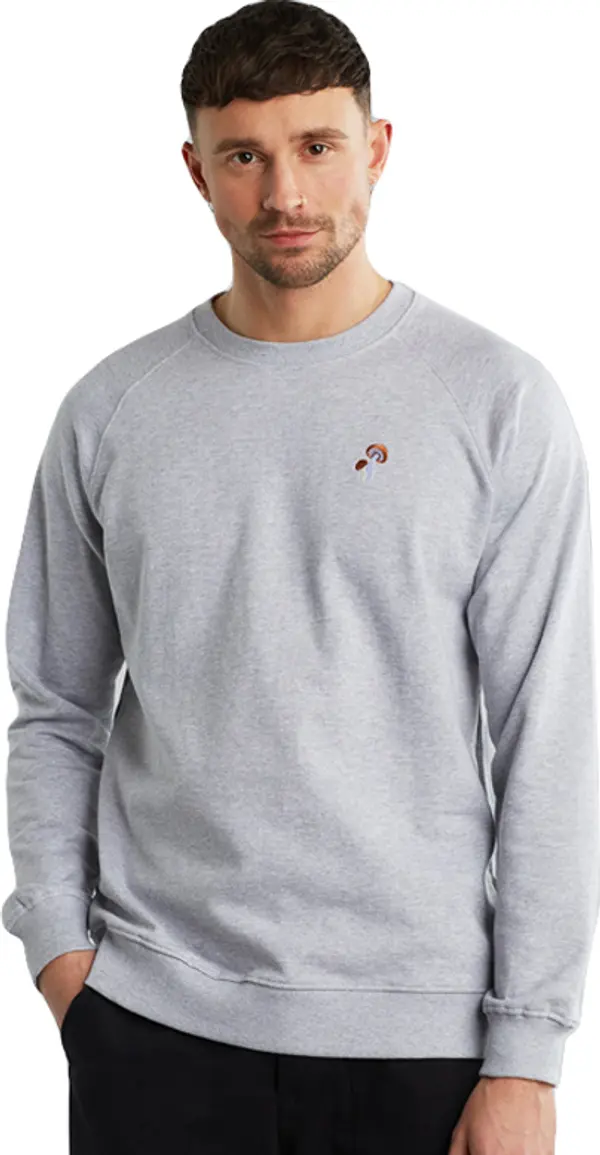 Dedicated Dedicated Sweatshirt Malmoe Mushroom Мъже - Суитшърти и блузи с качулка Dedicated - Сив - 18825-XL - Size: XL