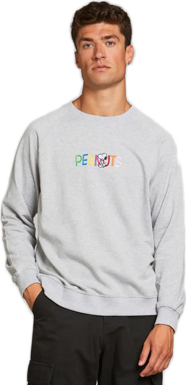 Dedicated Dedicated Sweatshirt Malmoe Peanuts Logo Grey Melange Мъже - Тениски Dedicated - Сив - 18179-XL - Size: XL