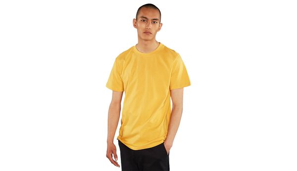Dedicated Dedicated T-shirt Stockholm Base Honey Yellow
