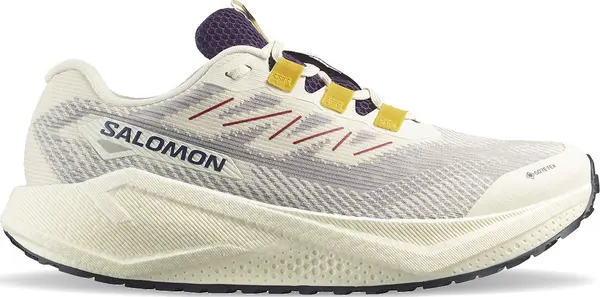 Salomon Salomon Aero Blaze 3 GRVL GTX W Жени - Спортни обувки Salomon - Бял - L47974100-7 - Size: 7