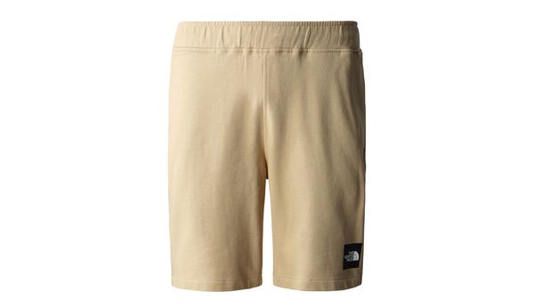 The North Face The North Face M Summer Logo Shorts
