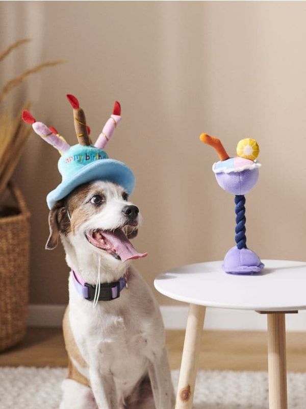 Sinsay Sinsay - Аксесоари за домашни любимци - бледосиньо