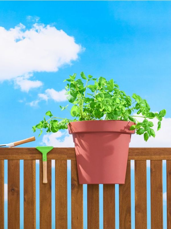 Sinsay Sinsay - Балюстрадна саксия за цветя - кaфяв