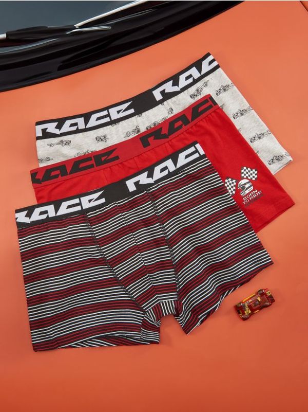 Sinsay Sinsay - Боксерки, 3 броя Long - многоцветен