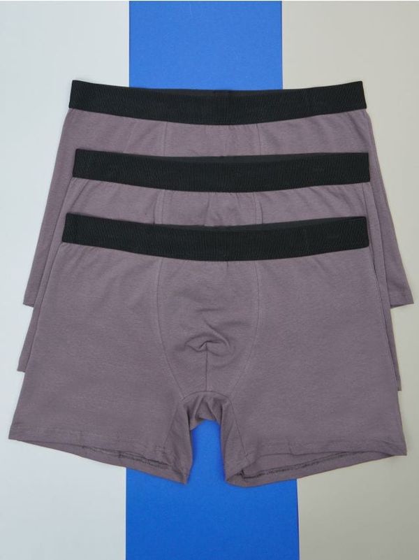 Sinsay Sinsay - Боксерки, 3 броя - многоцветен