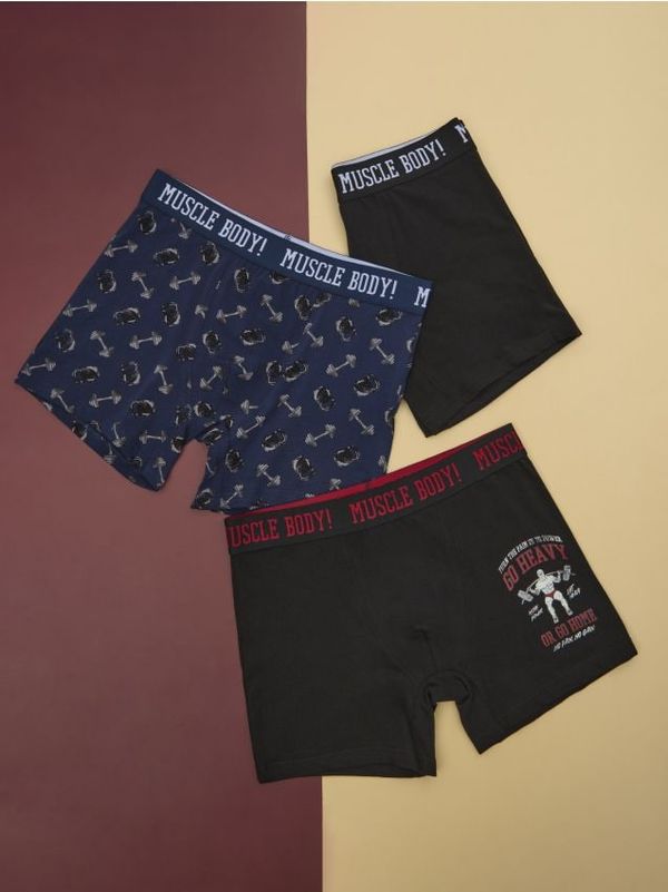 Sinsay Sinsay - Боксерки, 3 броя - многоцветен