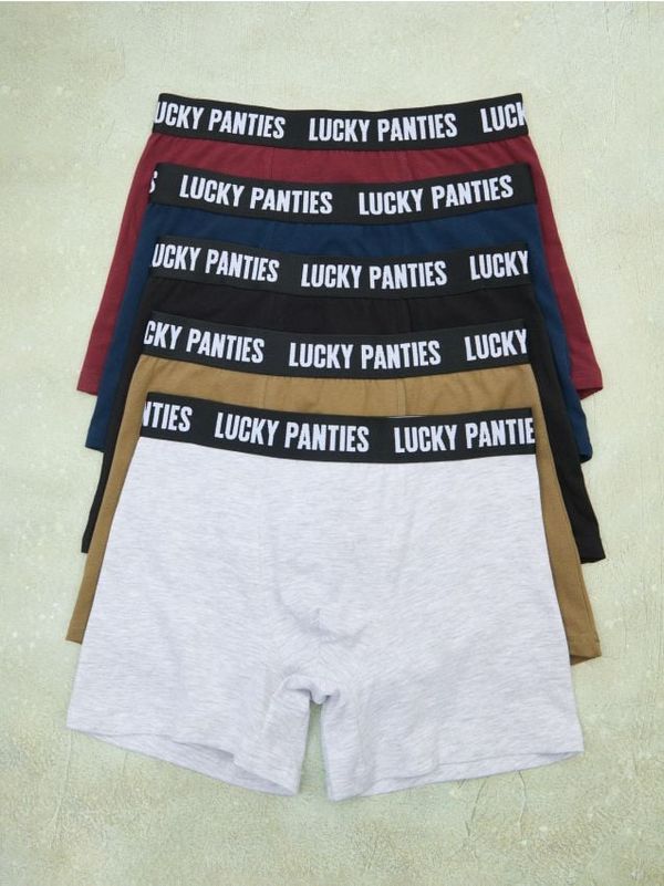 Sinsay Sinsay - Боксерки, 5 броя - многоцветен