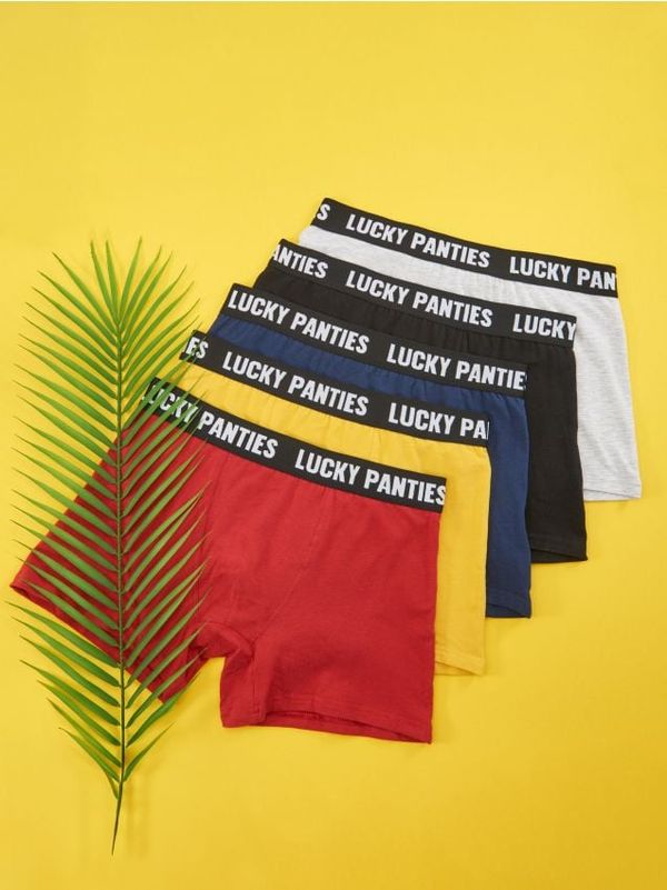 Sinsay Sinsay - Боксерки, 5 броя - многоцветен