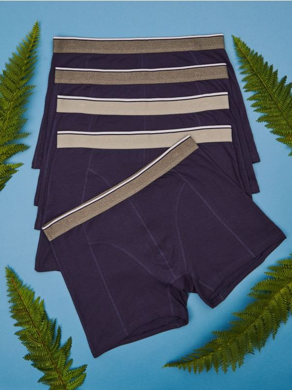 Sinsay Sinsay - Боксерки - многоцветен