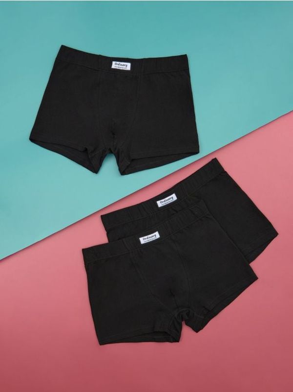 Sinsay Sinsay - Боксерки - многоцветен