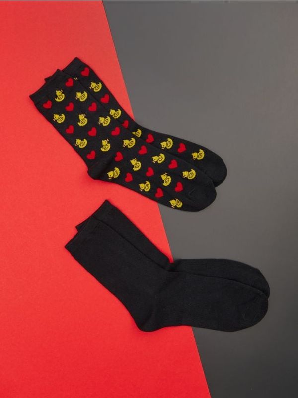 Sinsay Sinsay - Чорапи, 2 чифта - многоцветен